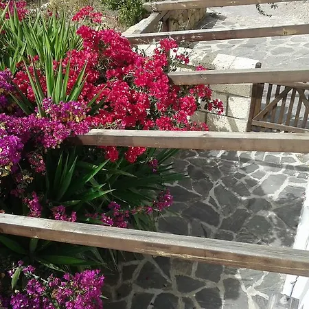 Casapancho 1 Y 2 - - - Tenerife Hébergement de vacances Fasnia