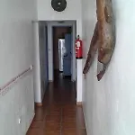 Casapancho 1 Y 2 - - - Tenerife Nyaraló *